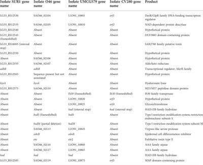 Case Report: Necrotizing fasciitis caused by Staphylococcus aureus positive for a new sequence variant of exfoliative toxin E